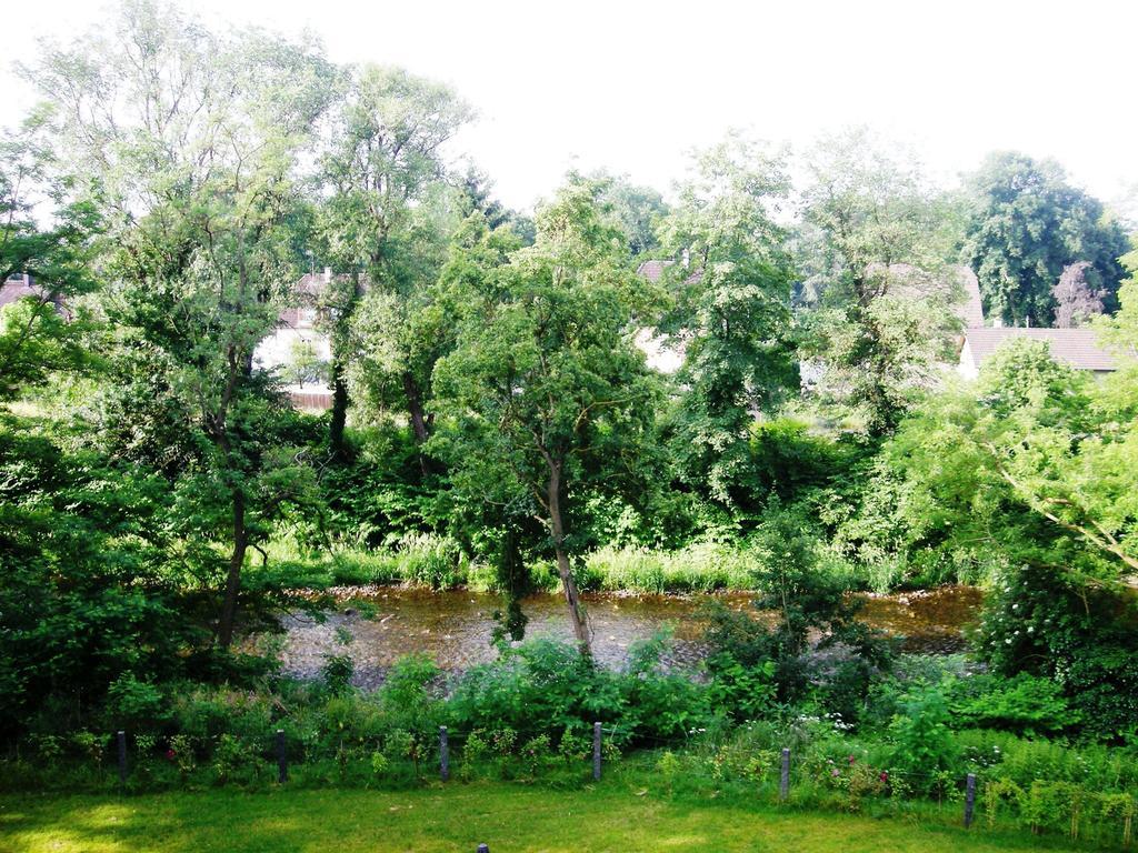 Aux Berges De La Thur Staffelfelden Exterior photo